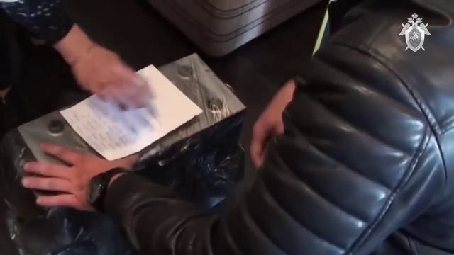 Задержание педофила