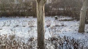 Один из дней города Евпатории | 25 января 2022 год | Крым ХАН БАТОН XAH 6ATOH | VID_20220125_144044