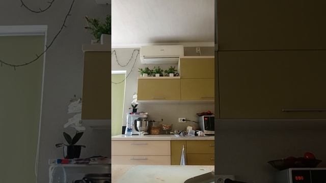 Сезон малосольных 🥒 огурцов открыт 💥