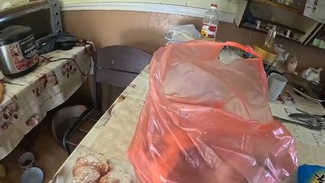 Наталья Губарева. ЧТО С МОЕЙ РАССАДОЙ... ЖИЗНЬ В ДЕРЕВНЕ villagelife