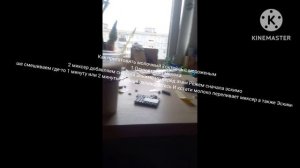 Как приготовить молочный коктейль и мороженое не, бес мороженое а с мороженым