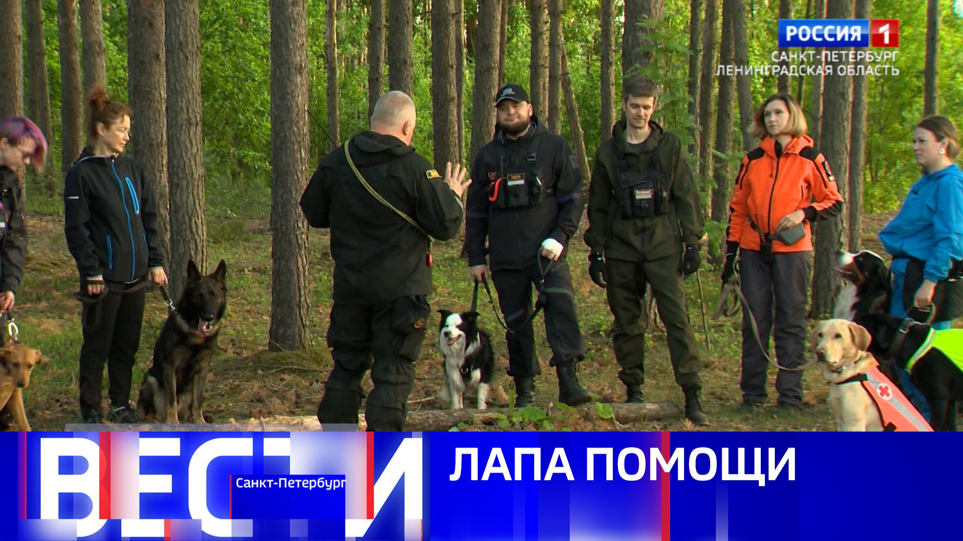 Вести Санкт-Петербург. Выпуск 11.30 от 15.06.2026 смотреть онлайн
