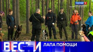 Вести Санкт-Петербург. Выпуск 11.30 от 15.06.2026