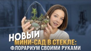 ФЛОРАРИУМ С СУККУЛЕНТАМИ СВОИМИ РУКАМИ