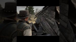 Red Dead Redemption 2 👍🎮 shorts