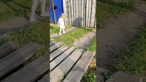 бегаем играем
