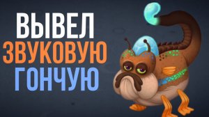 ВЫВЕЛ ЗВУКОВУЮ ГОНЧУЮ?!