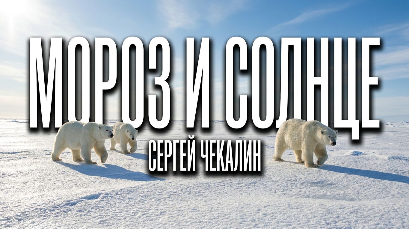 Мороз и солнце. Сергей Чекалин. Frost and Sun. Sergey Chekalin. смотреть онлайн