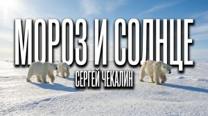 Мороз и солнце. Сергей Чекалин. Frost and Sun. Sergey Chekalin.