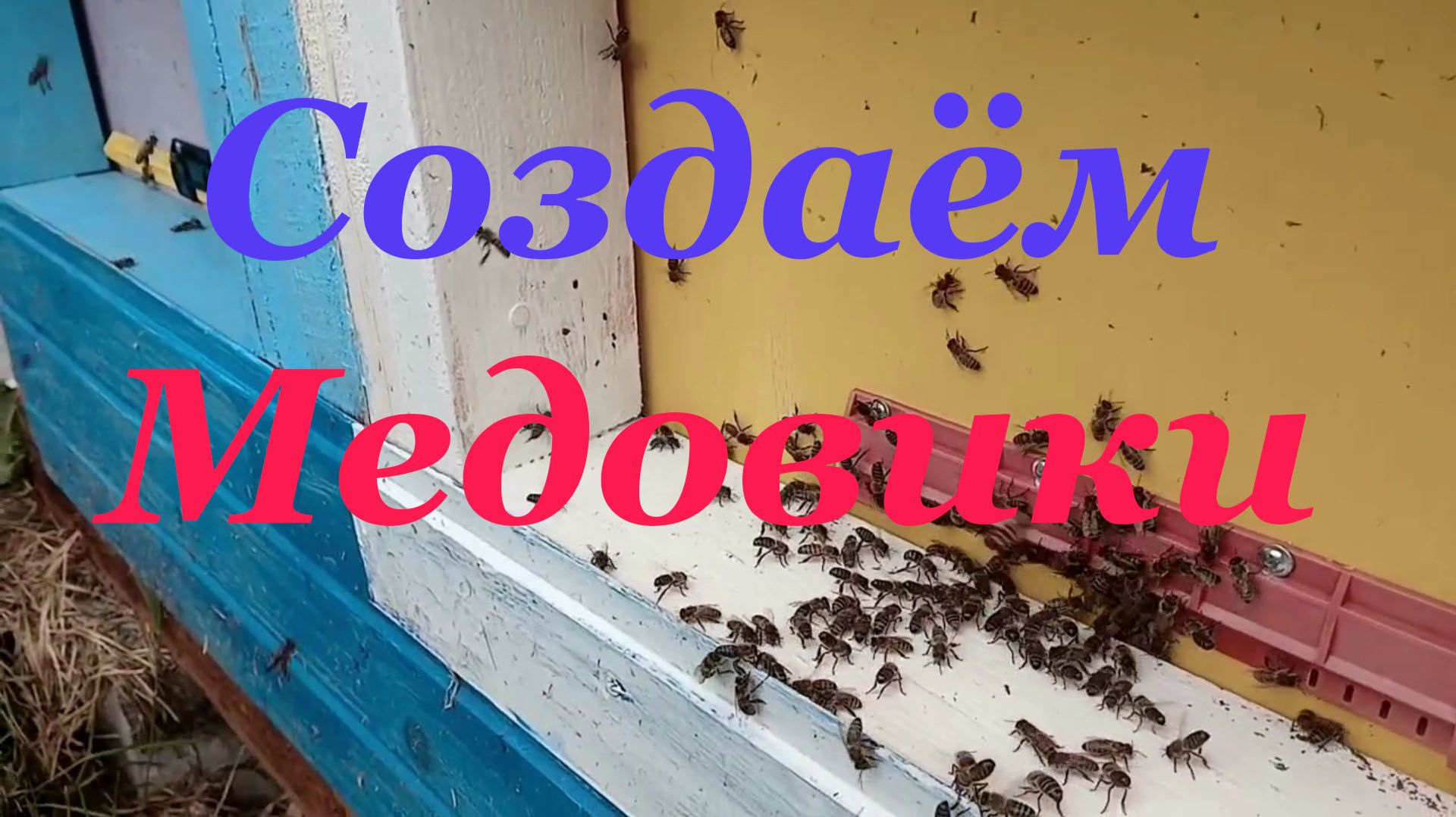 Объединяем пчёл в сильные медовики смотреть онлайн