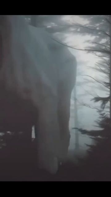 #Мгла  🪰