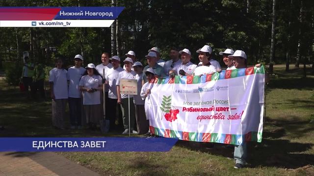 Рябиновую аллею дружбы высадили в парке «Светлоярский» в столице Приволжья