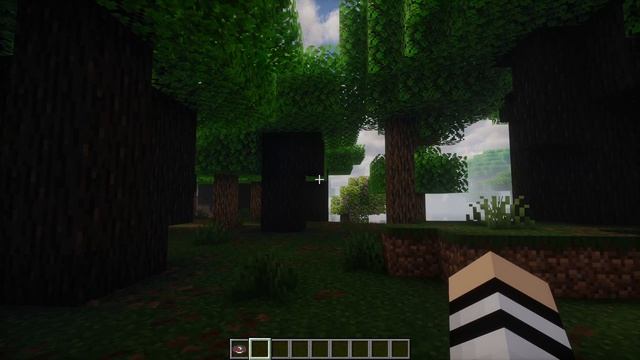 Minecraft 2K! RTX and Shaders! смотреть онлайн