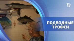 Умелец из Верхней Пышмы делает трофейные скульптуры рыб