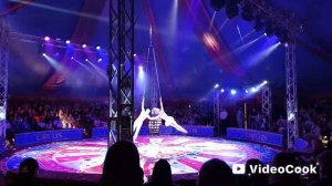 Цирк «Колизеум» в Тюмени.Мы на представлении!🎪🎪🎪🥳🥳🥳🤡🤡🤡