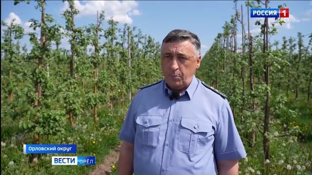 В Орловской области стартовал фитосанитарный мониторинг