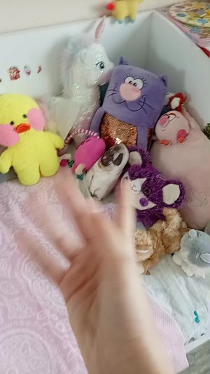 24 часа в розовом цвете