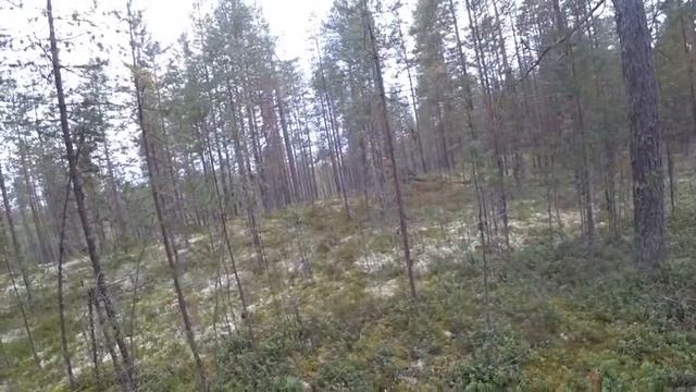 охота и рыбалка