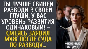 Истории из жизни: Ты лучше свиней разводи в своей глуши, у вас уровень развития одинаковый! – заявил