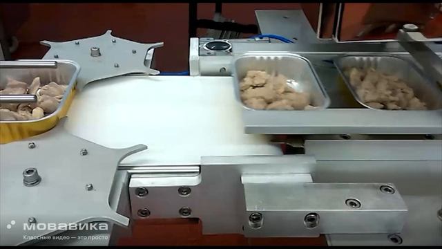 ЛИНИЯ ФАСОВКИ КОНСЕРВ МЯСО ТУШЕНКА В  ЛАМИСТЕРНУЮ ТАРУ