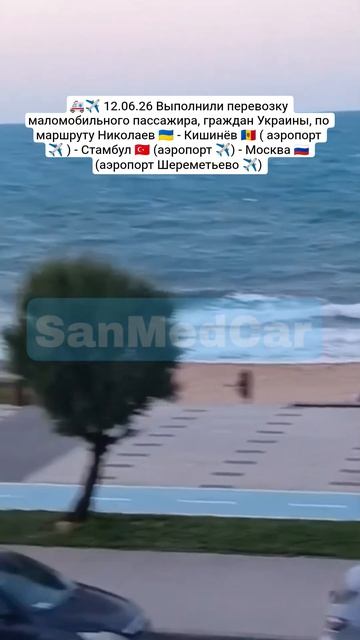 Перевозка маломобильного пассажира Николаев - Кишинёв (✈️) - Стамбул (✈️) - Москва (Шереметьево ✈️)