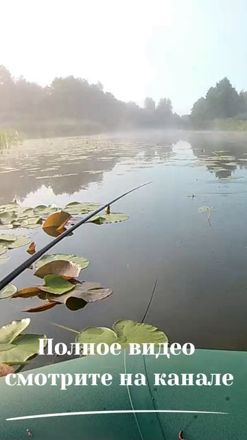 Любой народ может стать Божьим народом
