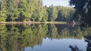 Утренний обзор с нижнего водоёма. Клёвое место, Лосиный остров.