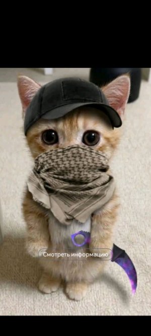 Вечер в хату