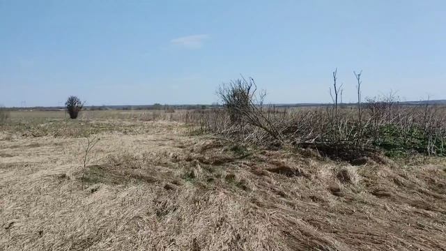 д. Новоселки 50:18:0070407:1000
