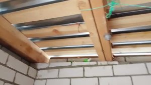 ОСЫ В ГАРАЖЕ / ЗАРОСЛИ ЗА ОКНОМ