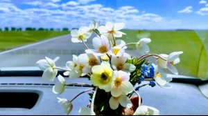 15-06-2026 Лето это маленькая жизнь.