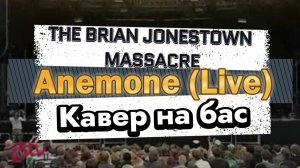 The Brian Jonestown Massacre - Anemone (Live) (бас) \ Видеоурок, таб, табы, ноты, аккорды