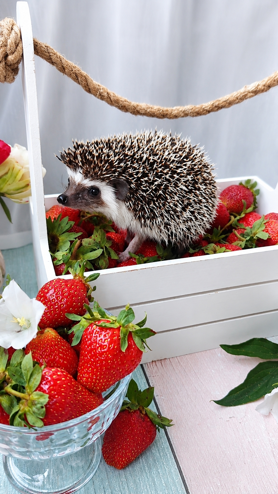 Ёжик в клубнике 🍓
