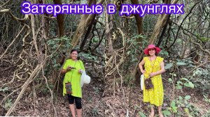 Индия в восторге от моего хинди 😊😁😍🥰
