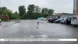 Шесть безнадзорных собак отловили на улице Сарафановской в Иркутске