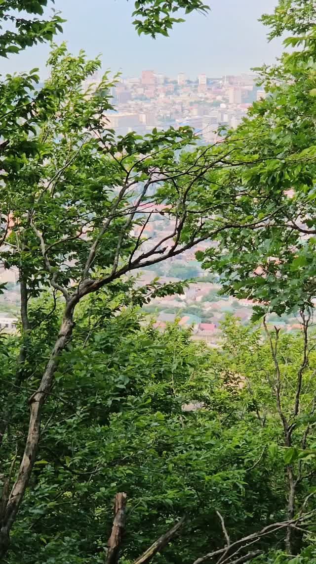 Махачкала, на склонах Тарки-Тау