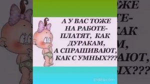 Анекдоты #мемы #шуточное #смех