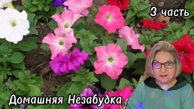 3 часть. В детстве кучу могли успокоить только ЛЕЩИ😱❗️Теперь также воспитывает с@плю❗️