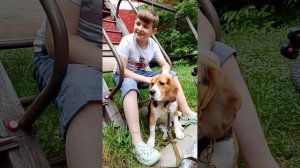 Пул🐶🐕