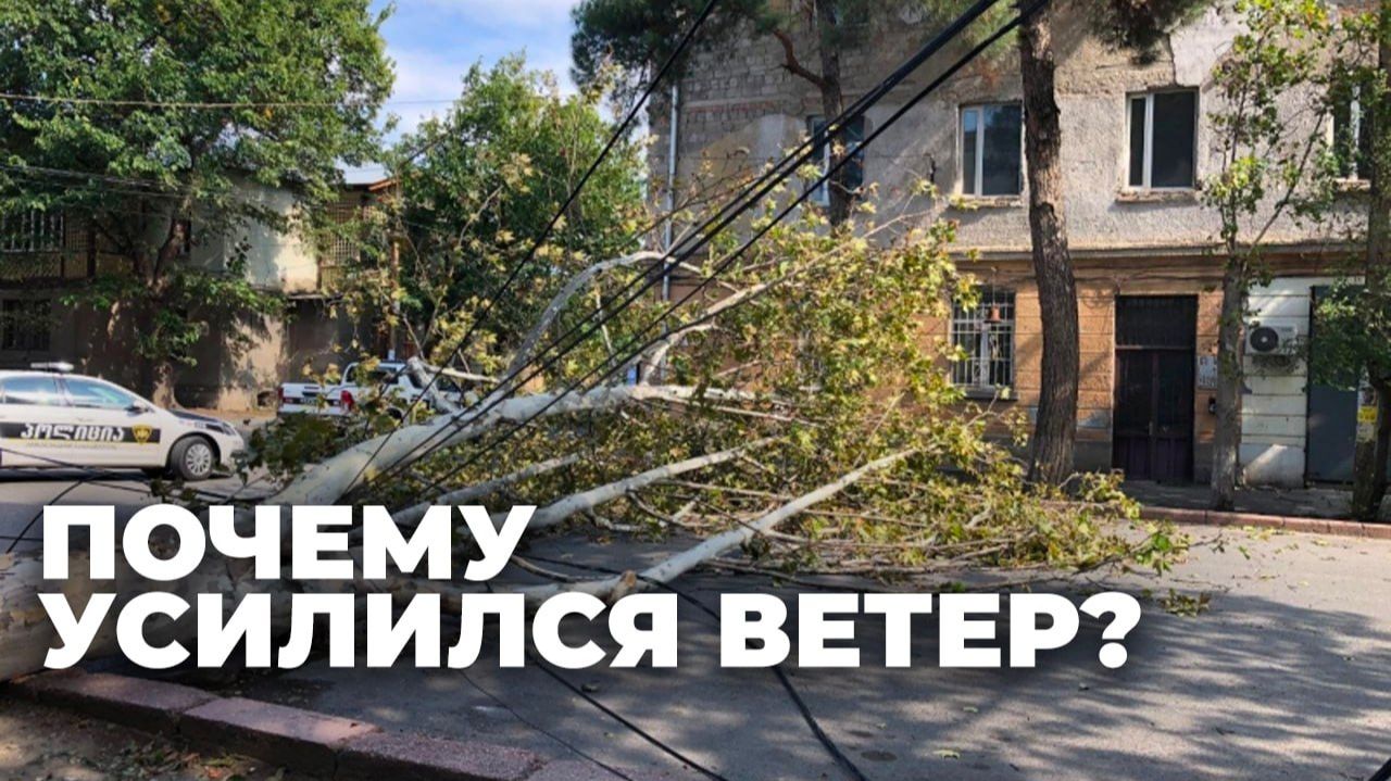 Ураганы и штормы: как глобальные изменения климата отразились на Грузии