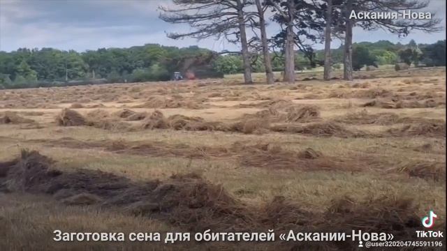 1000027204.mp4