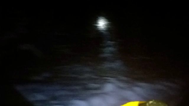 Зимняя прогулка в ночи смотреть онлайн