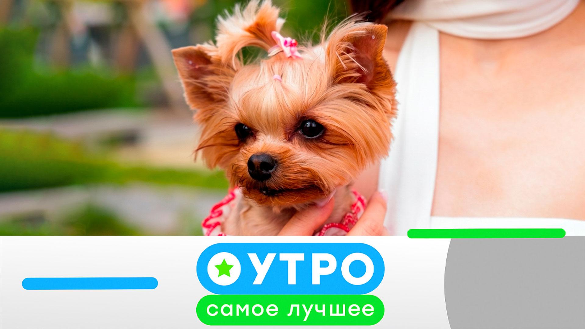 «Утро. Самое лучшее»: 15 июня 2026 года