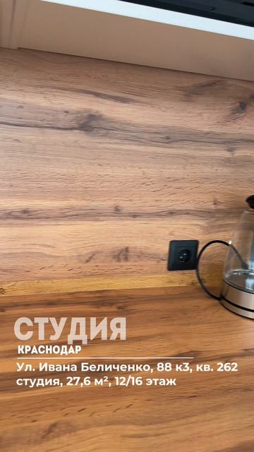 Ул. Ивана Беличенко, 88 к3 кв 454 студия