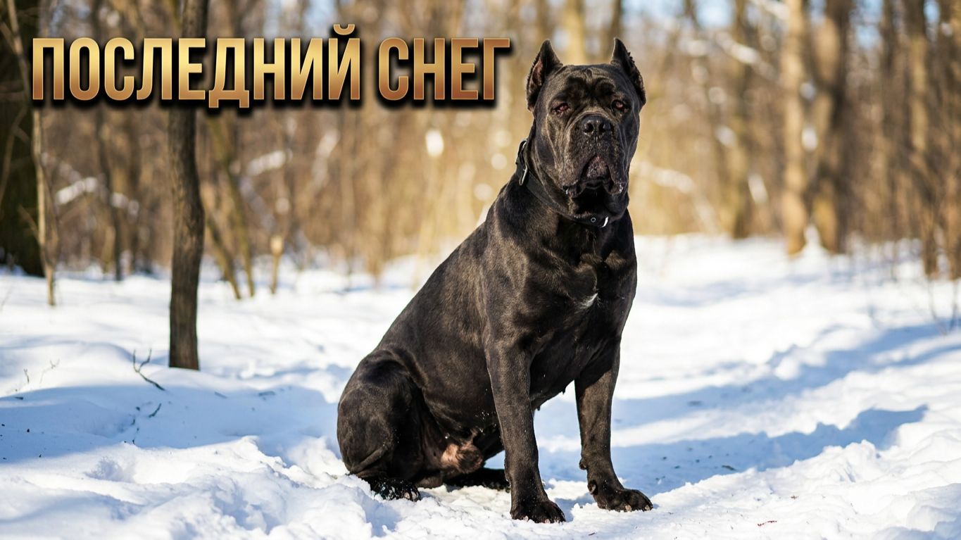 Последний солнечный зимний день в 2026 году. смотреть онлайн