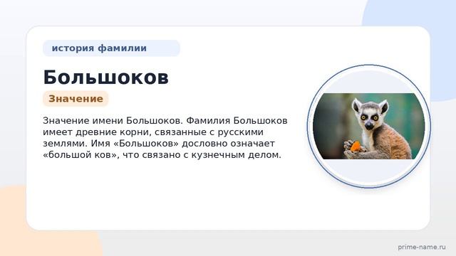 Фамилия Большоков: происхождение, значение и склонение