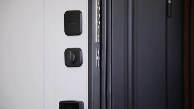 LEDO - стальная дверь с биометрическим замком Smart Lock K06