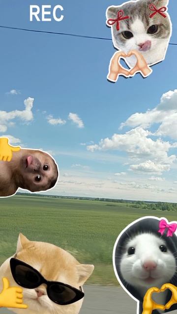 не знаю что написать (напишите в комментариях название к следующему видео) смотреть онлайн