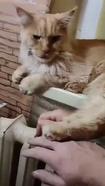 Не бросили
