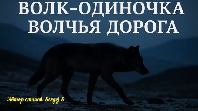 Волчья Дорога. Песня о пути одиночки смотреть онлайн